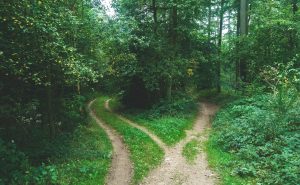 Career Change – Find New & Successful Career Path