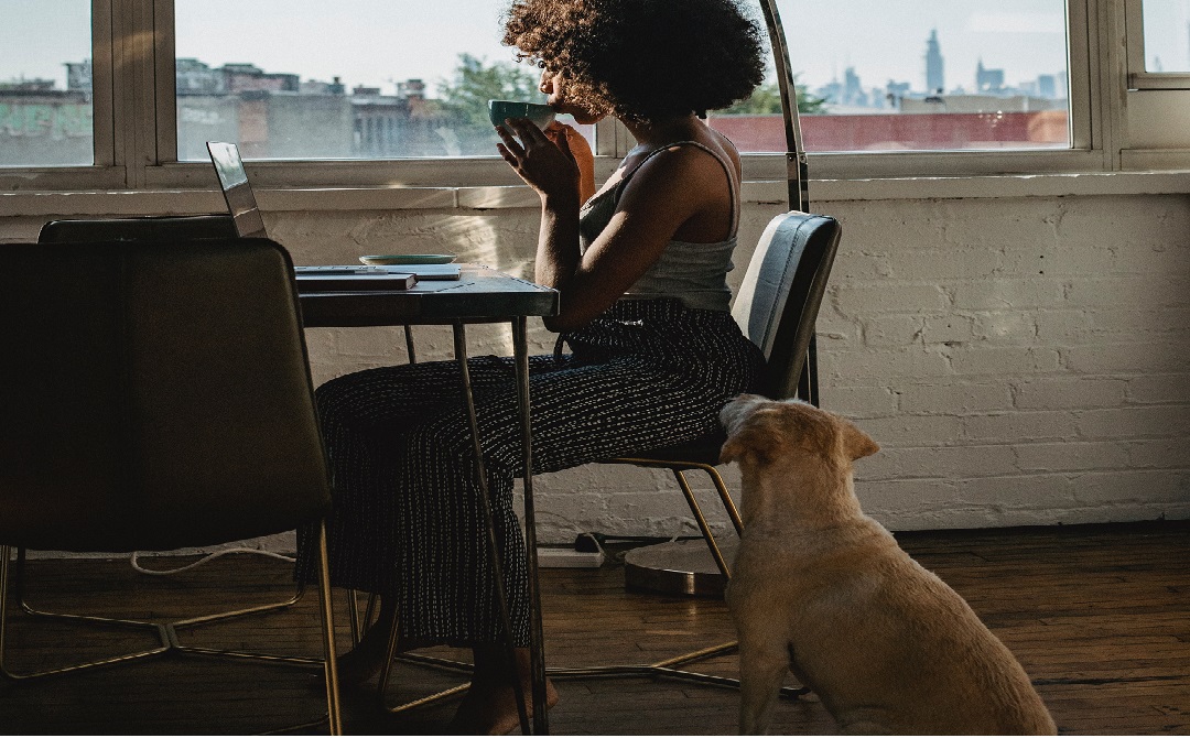 How to Create A Personal Growth Plan for Self-improvement in 7 Steps